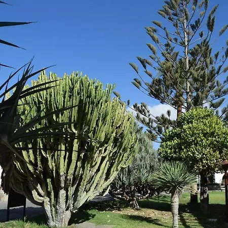 Parque Golf Fresh ماسبالوماس