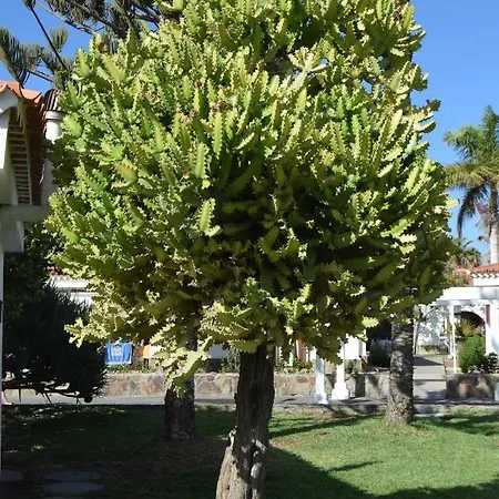 Parque Golf Fresh شقة ماسبالوماس
